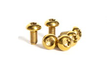 Load image into Gallery viewer, The Titanium Rotor Bolts Upgrade Kit -12 Bolts