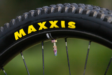 Load image into Gallery viewer, The Trail One Tubeless Valve Stems