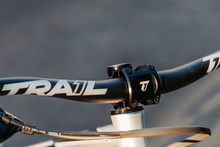 Load image into Gallery viewer, The Viking Stem