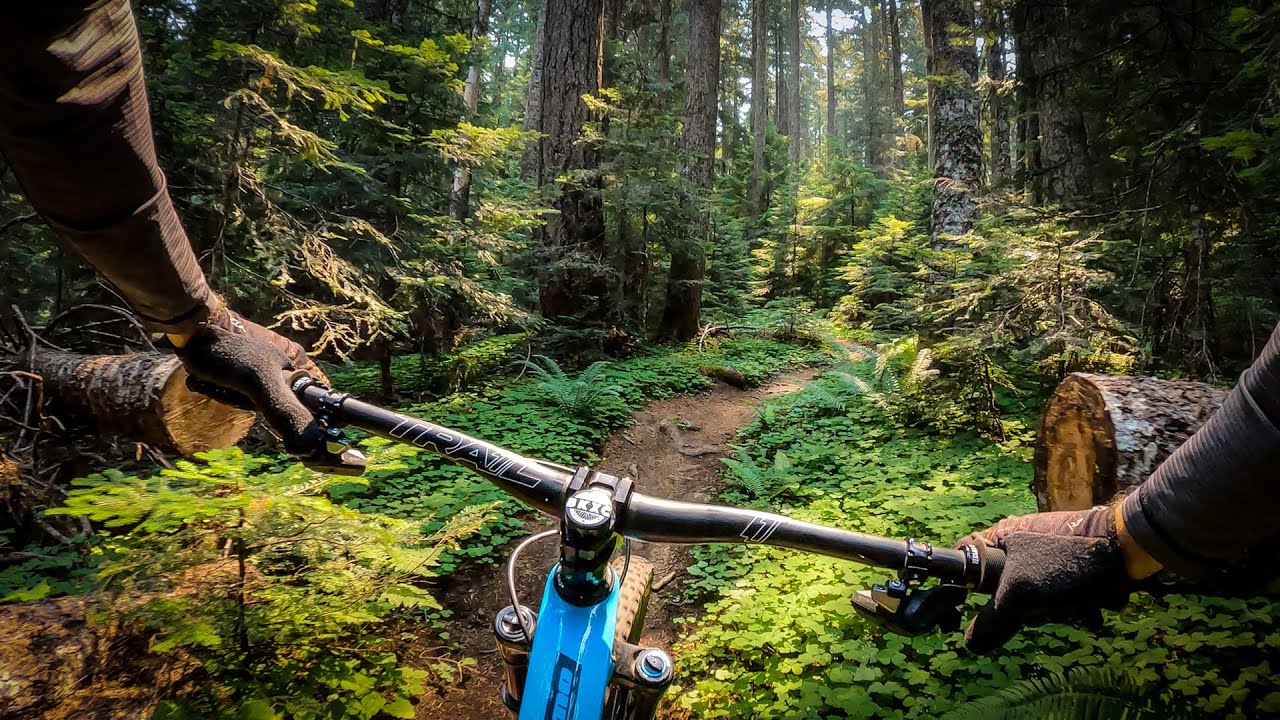 Trail One List Lawler / Hardesty Trail One Components