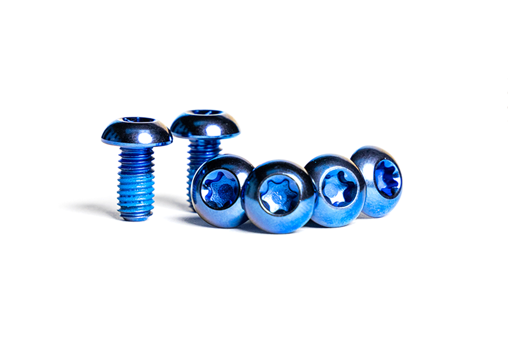 Blue Bolts Rotor The Titanium Rotor Bolts Upgrade Kit -12 Bolts – Trail One Components