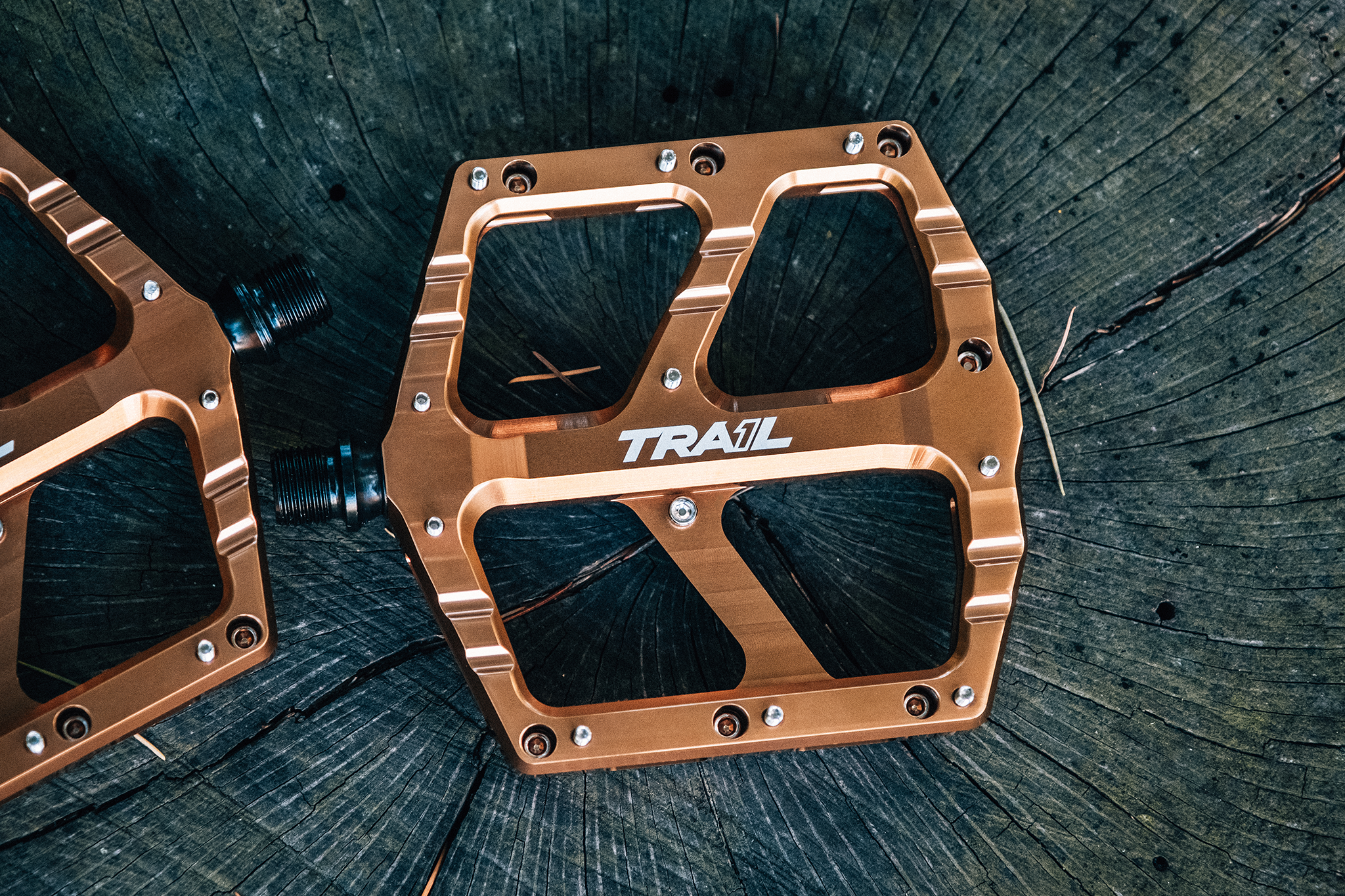 The Sage Alloy Pedal - Trail One Components