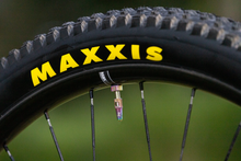Load image into Gallery viewer, The Trail One Tubeless Valve Stems
